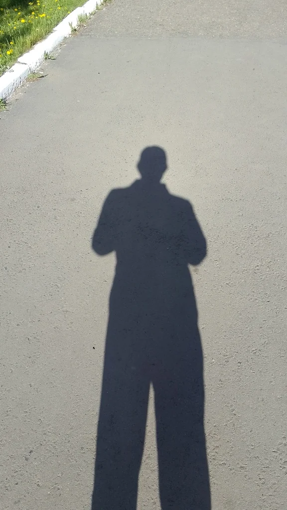 Before: photographer's own shadow in frame - unedited source photograph (CC0)