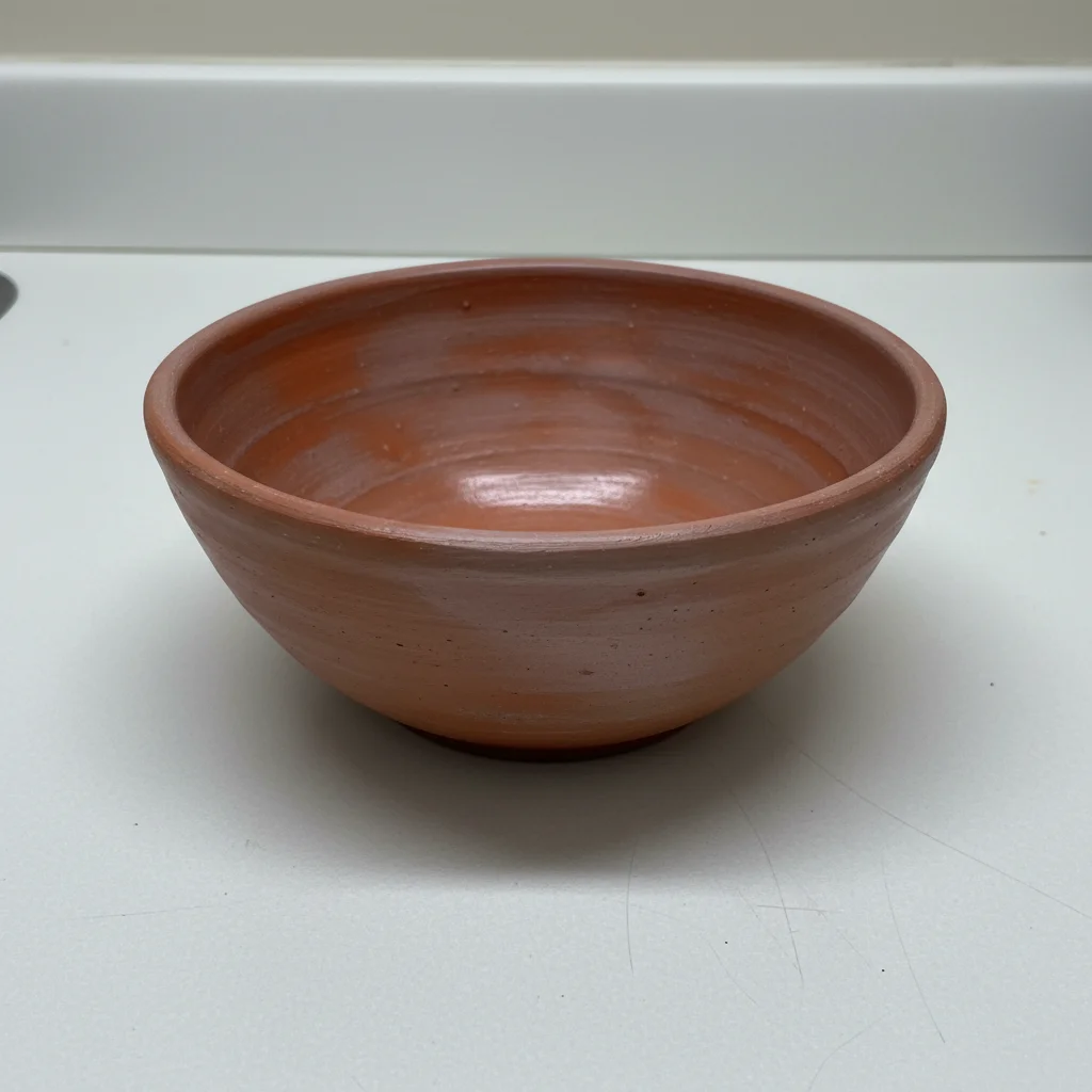 Terracotta ceramic bowl on plain white counter under flat fluorescent lighting
