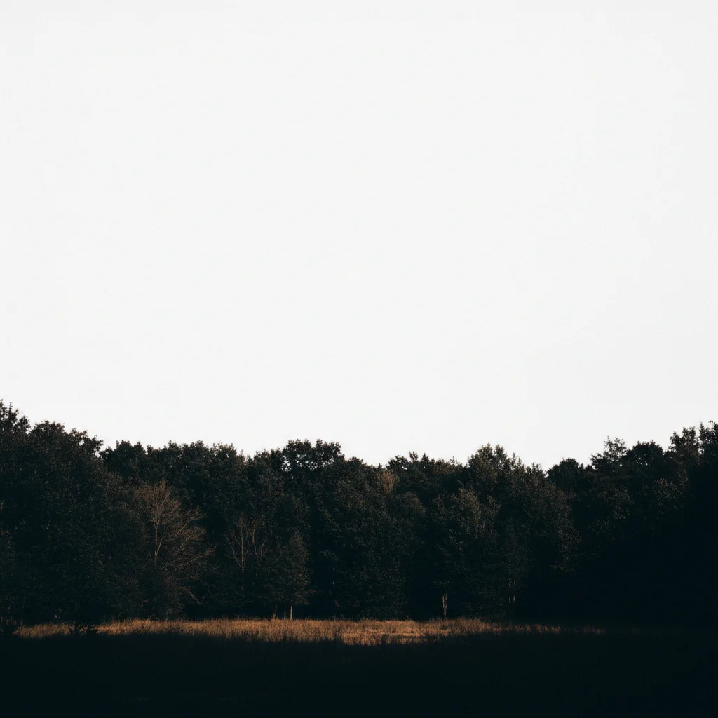 Landscape with blown out white sky and too-dark foreground