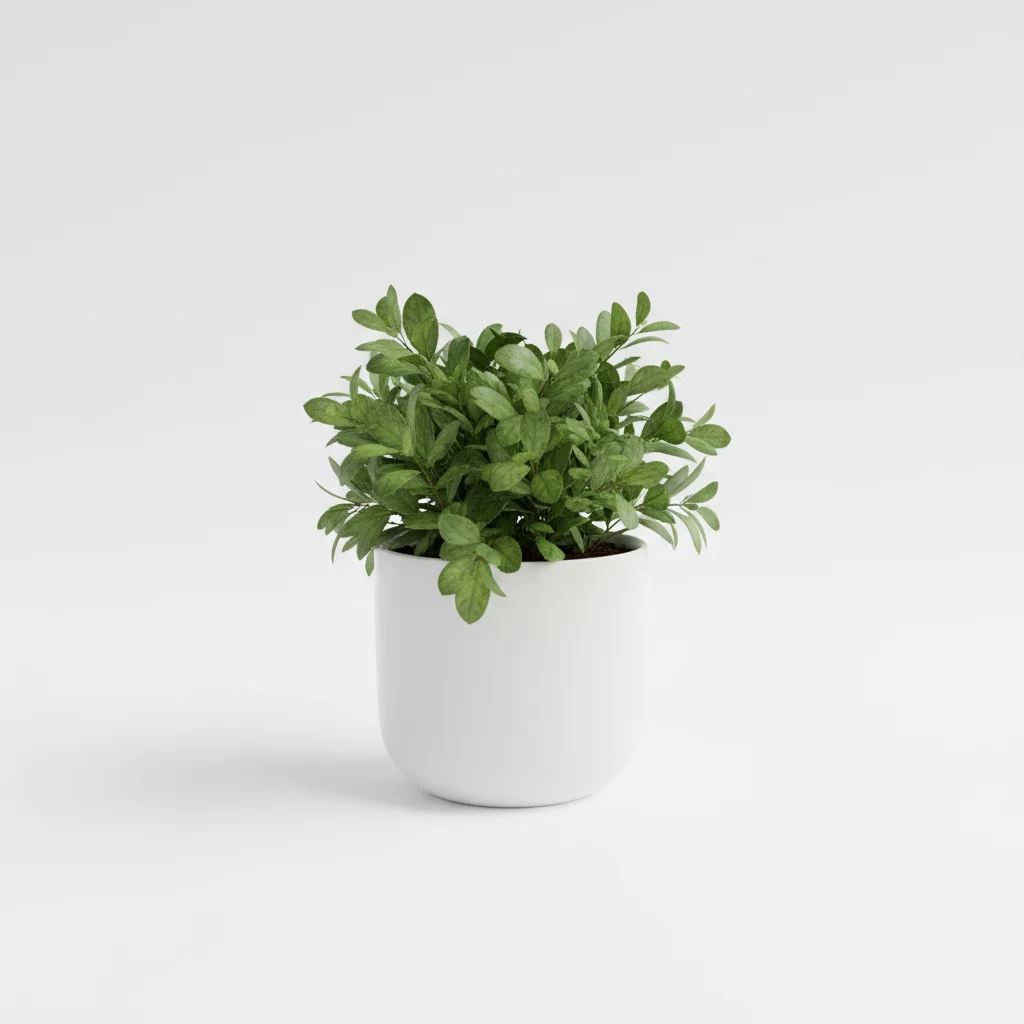 Reference image for Put Object in Photo